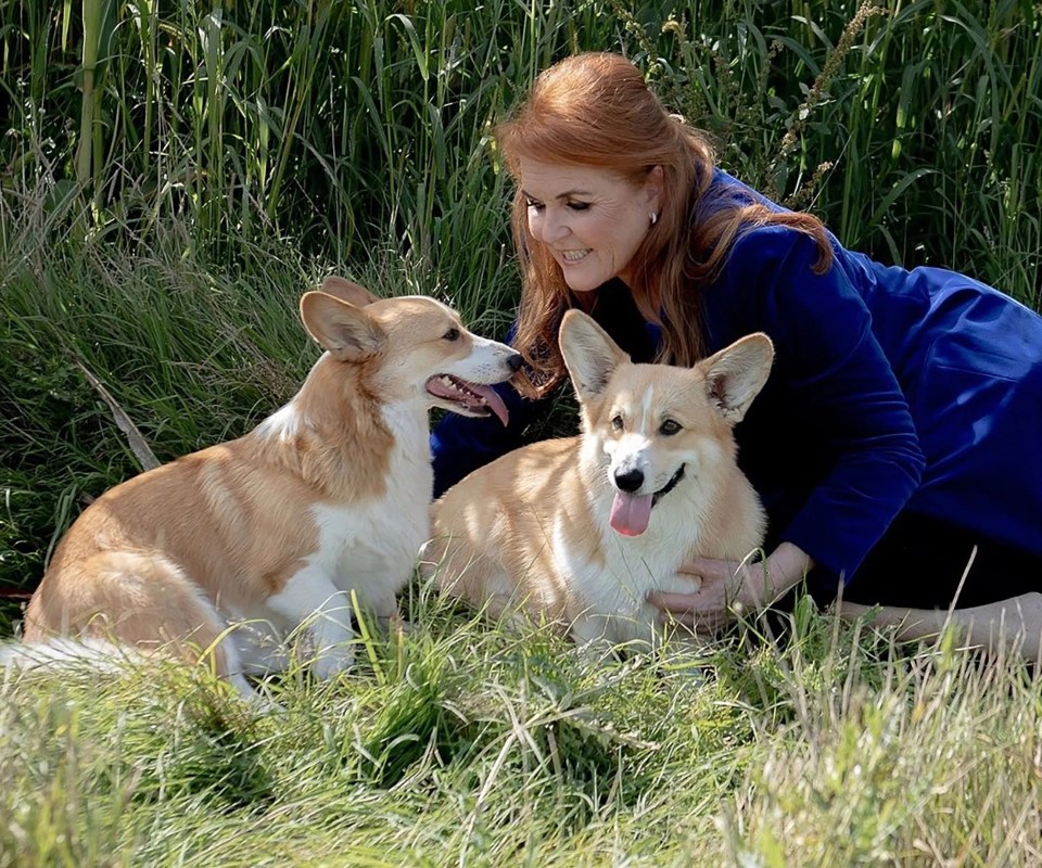 Sarah Ferguson cuddled up to the Queen's beloved Sandy and Muick