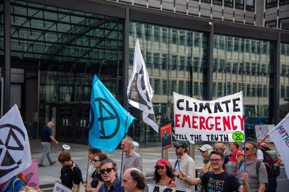 Extinction Rebellion are begging Women's Institute members to join their ranks