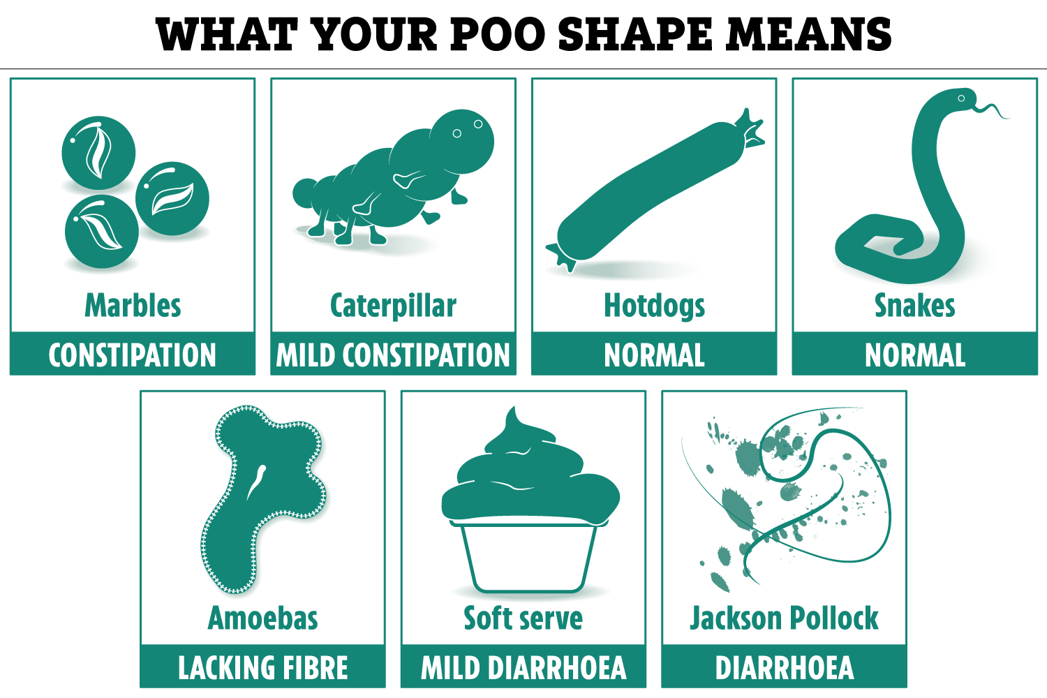 Though everyone's number twos look different, they usually fall into one of seven categories outlined by the Bristol Stool Chart (see above)