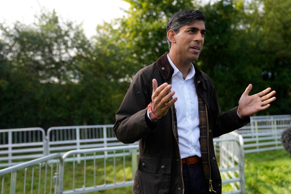 Britain's Prime Minister Rishi Sunak gestures as he speaks to apprentices, during a visit to Writtle University College, in Writtle, near Chelmsford, England, Thursday, Sept. 21, 2023. (AP Photo/Alastair Grant, Pool)