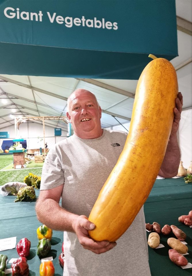 Gardener Vince Sjodin has grown the world’s heaviest cucumber at a whopping 30lb