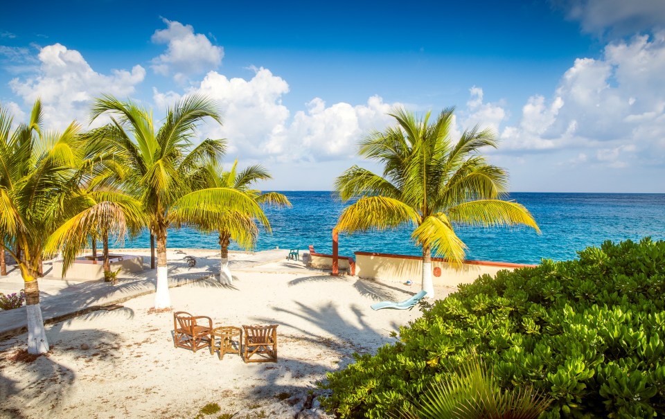 Royal Caribbean's fabulous seven-night cruise sails from Tampa in Florida and sails to a variety of tropical destinations, like Cozumel in Mexico