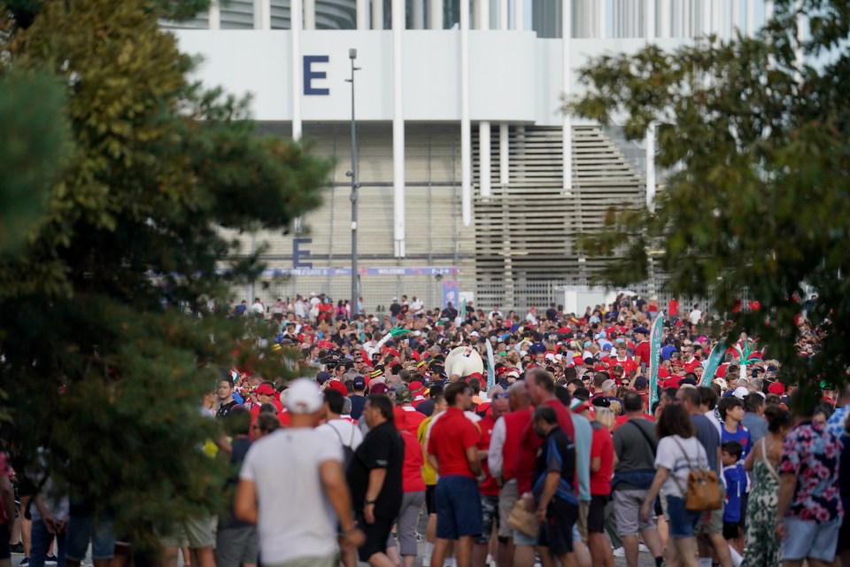 The woman reported the attack to police after she was discovered by Welsh fans