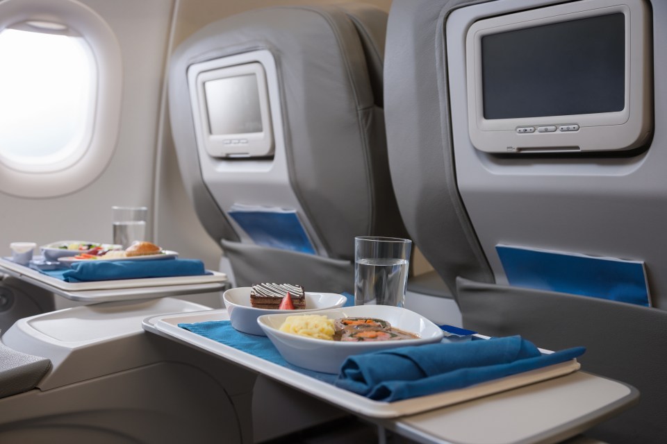 Travel experts compared the in-flight food and drink options across 150 airlines