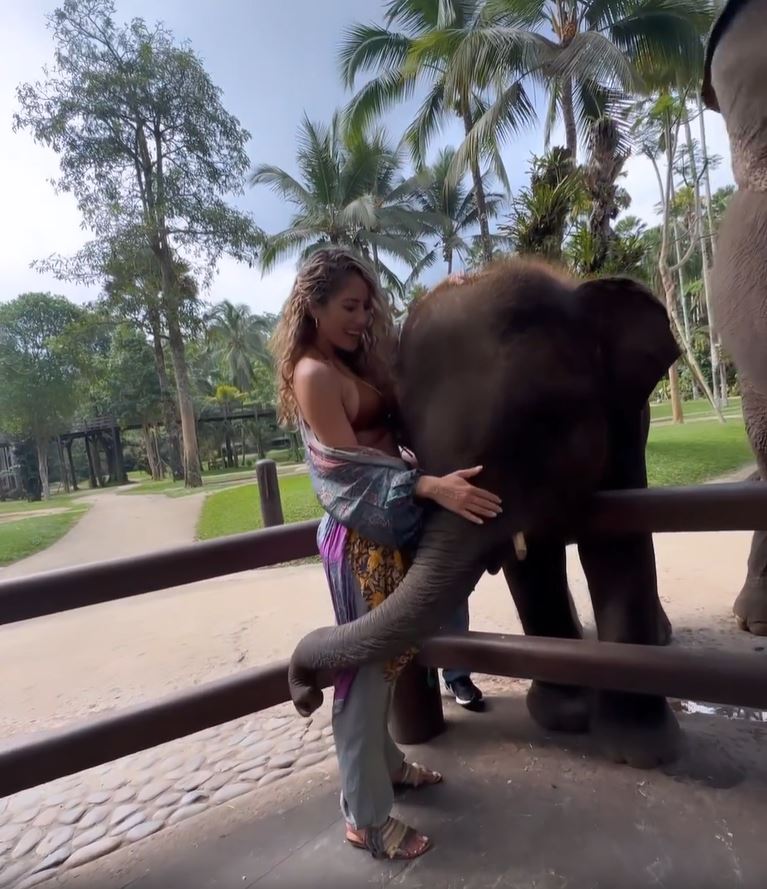 Brittney shared a snap of her hugging an elephant