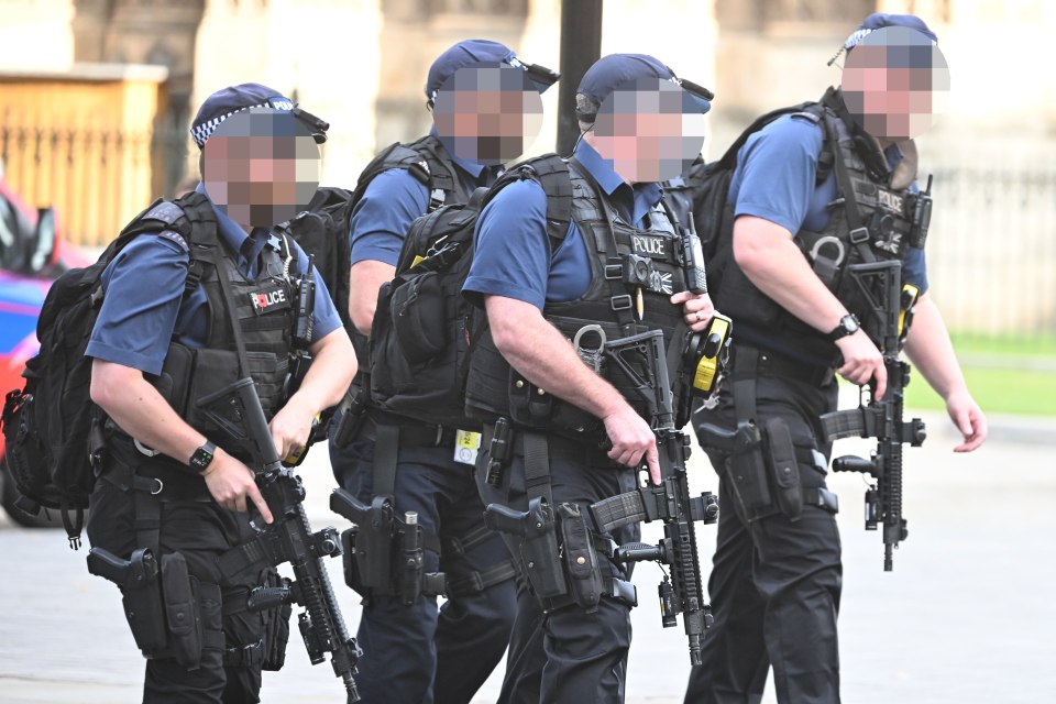 The Army stood down from counter-terror policing support in London as gun cops returned to duty