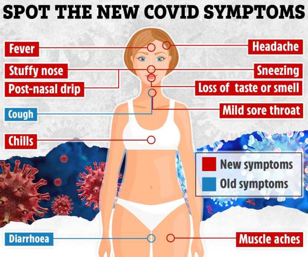 a diagram of a woman 's body showing the new covid symptoms