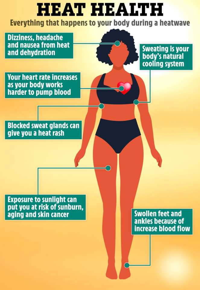 Heat can affect all parts of your body, from your skin to your feet and heart