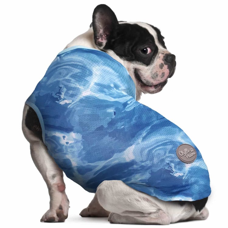 This 50p cooling coat is a great way to help your pup keep cool in this weather