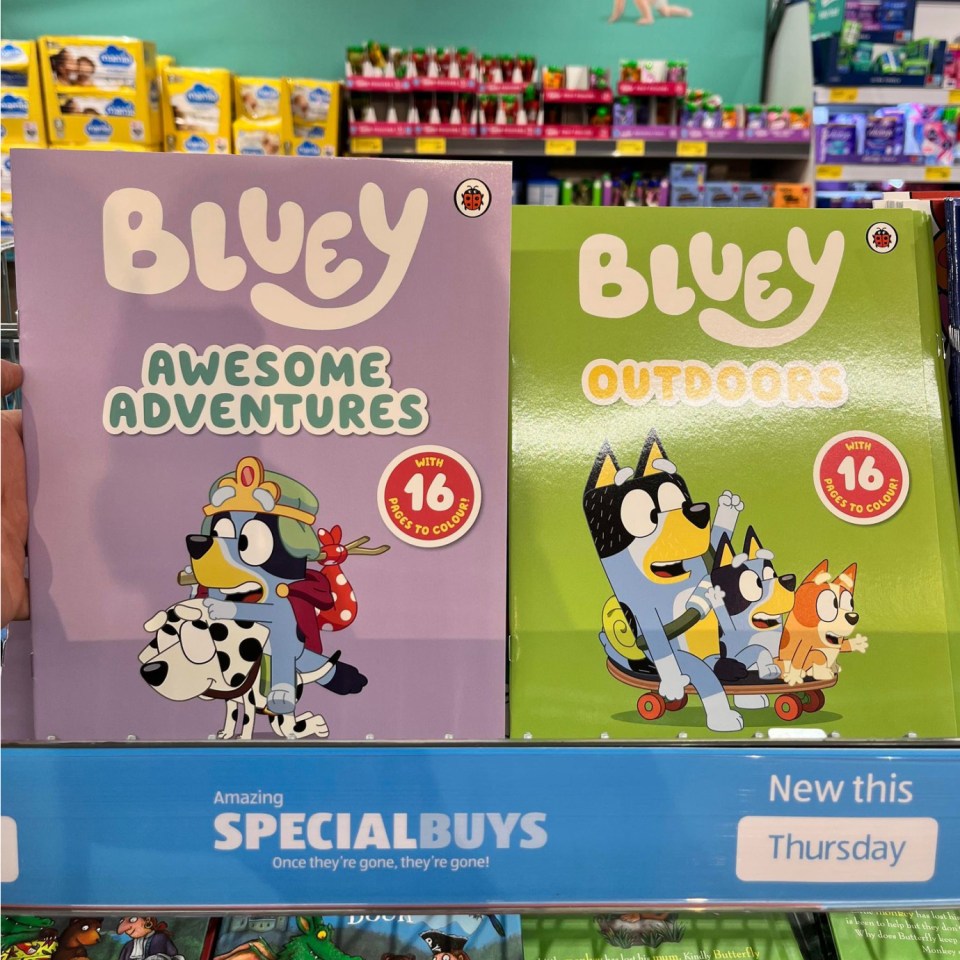 Parents rushed to Aldi to buy Bluey Ladybird books on sale for just 99p