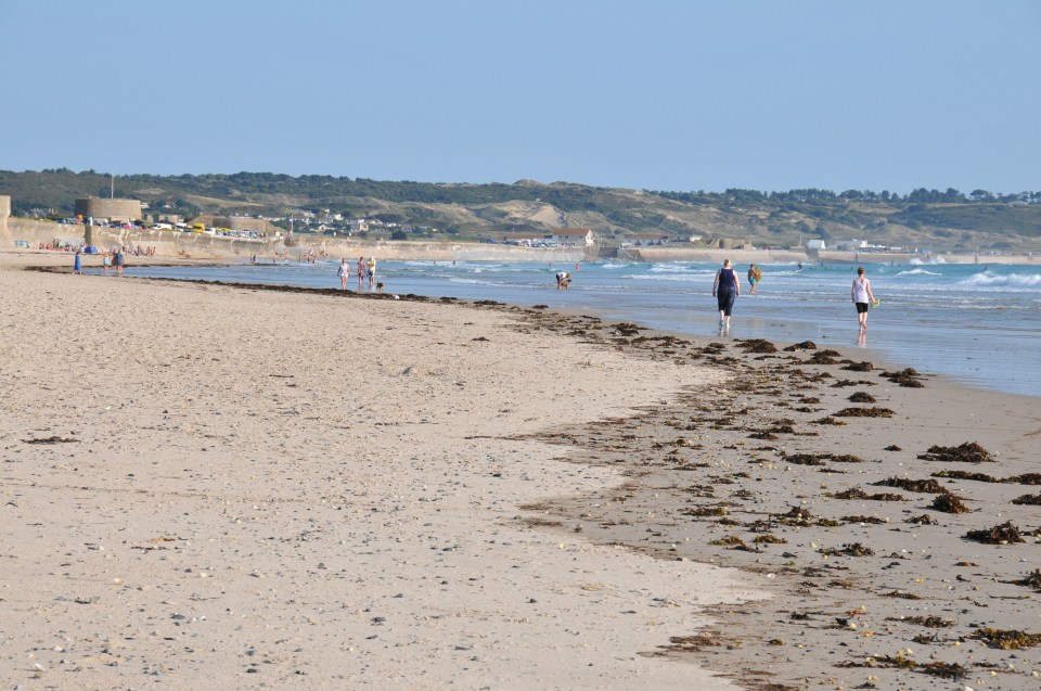 Portuguese man o’ war jellyfish have been spotted in St Ouen Bay, Jersey