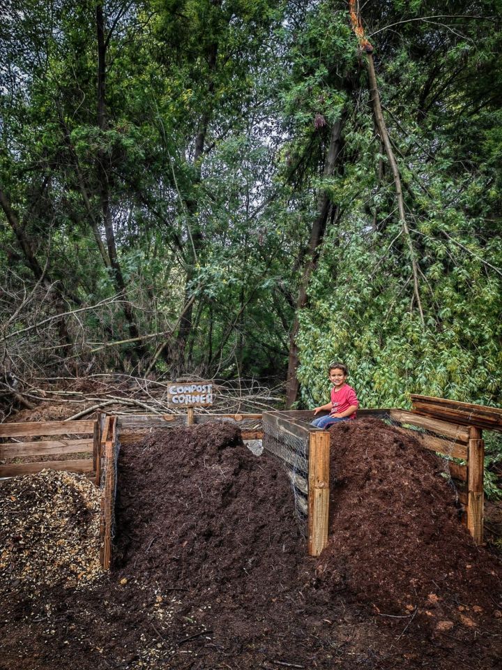 The surroundings include a compost heap