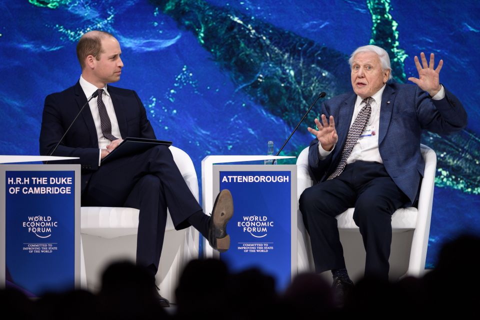 Prince William's shoes looked worn when he was interviewed by Sir David Attenborough