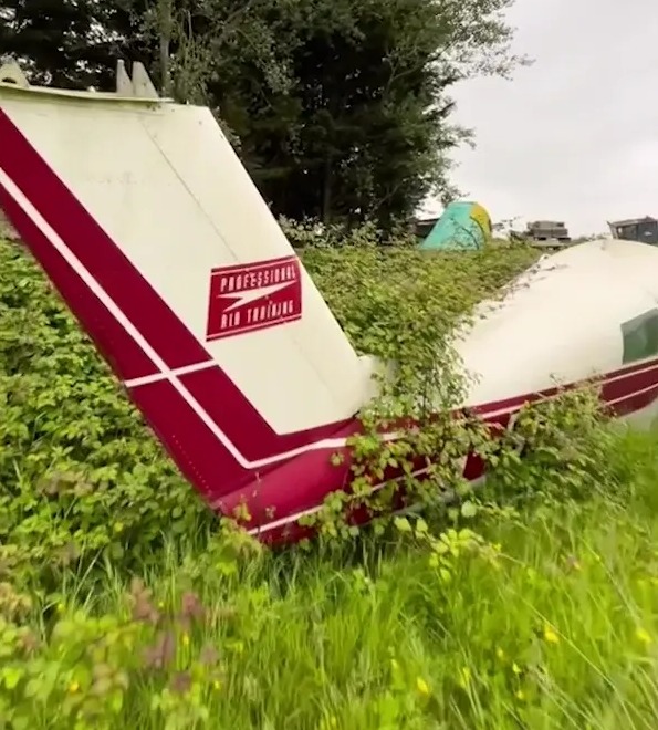 There was even a light aircraft overgrown with weeds