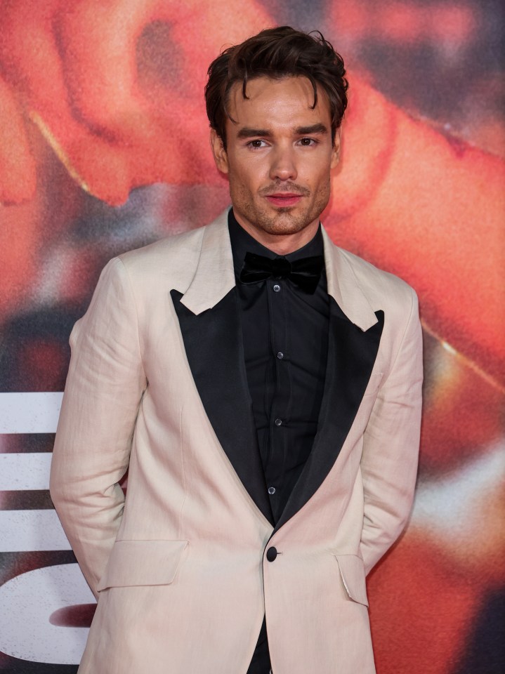 Liam previously admitted he spent time in a US wellness clinic last year after he 'hit rock bottom'