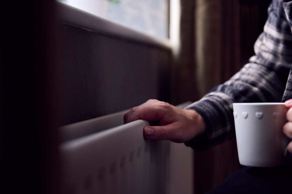 An expert has revealed the exact date to turn your heating on to save money