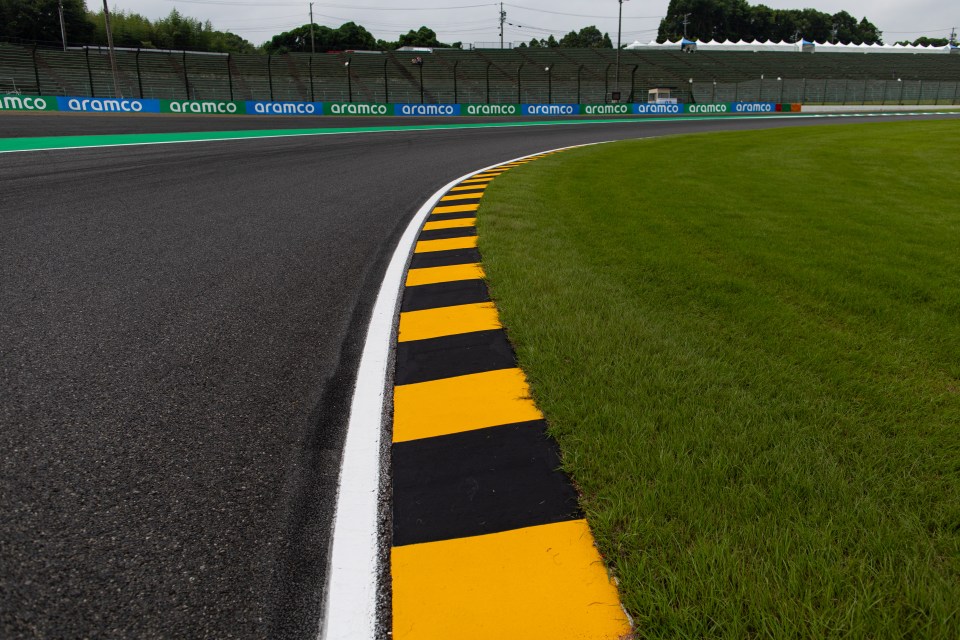 The kerb at Turn Two has been painted yellow and black like a bee to help raise more awareness for biodiversity