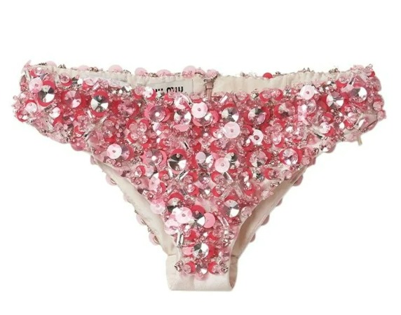 On the lookout for new knickers? How about these £3.8k embellished undies by Miu Miu?