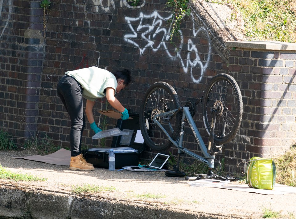 Undercover cops dragged him off a bicycle and wrestled him to the ground on a canal towpath yesterday