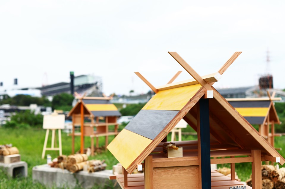 The structures offer a place for insects such as bees to take refuge