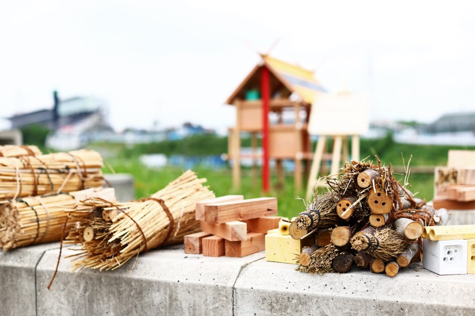 He is hoping the building in Japan is just the start of a much wider project