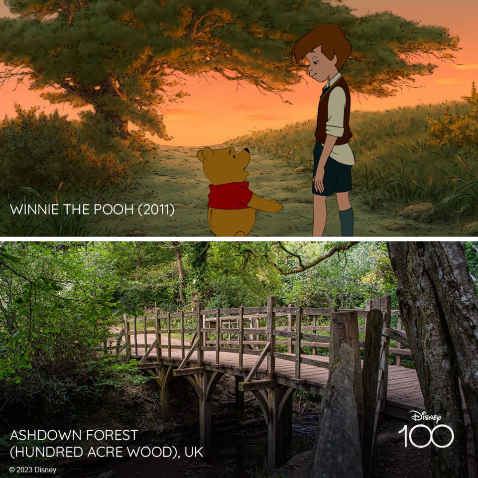 Ashdown Forest in Sussex was the inspiration for the Hundred Acre Wood