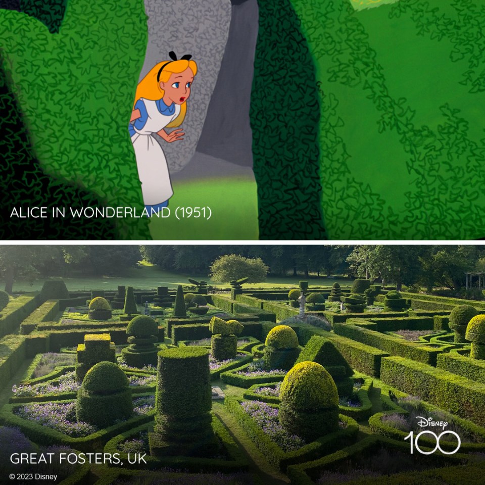 The maze at Great Fosters in Surrey inspired Disney when making Alice in Wonderland