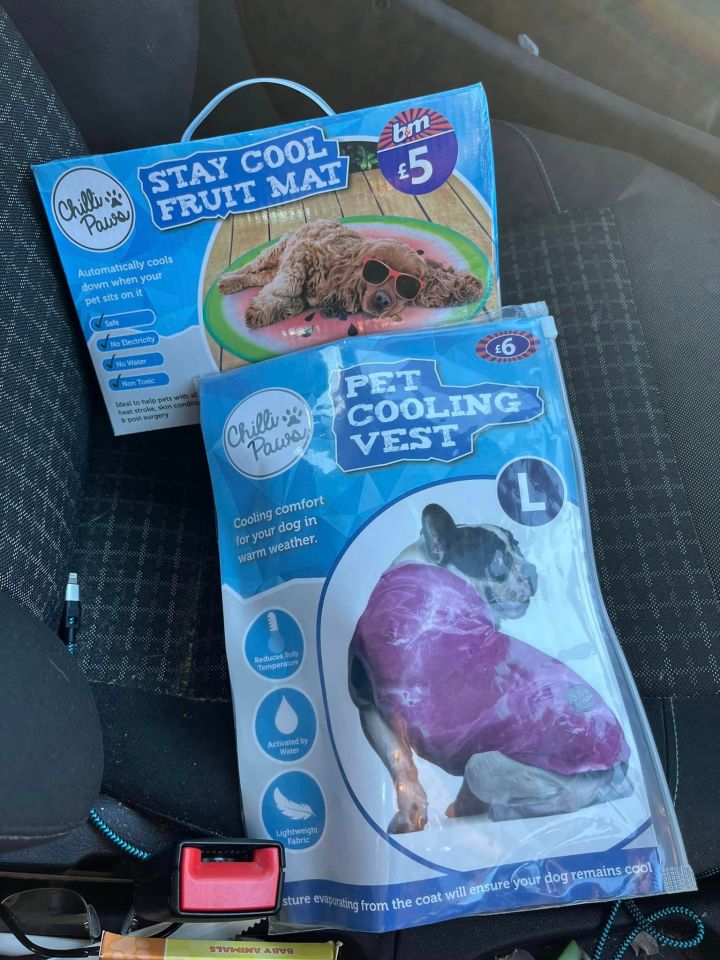 Thrifty shoppers were delighted to find these bargain buys in B&M, perfect for helping to keep your pet cool in the heat