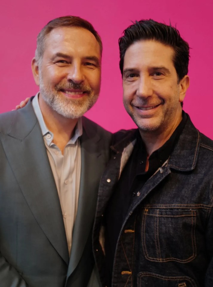 David Walliams posed for a snap with Friends star David Schwimmer