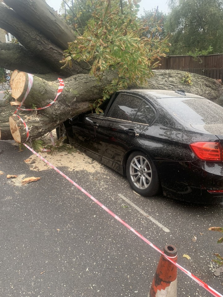 Strong winds have seen trees fall and smash onto a car in London today