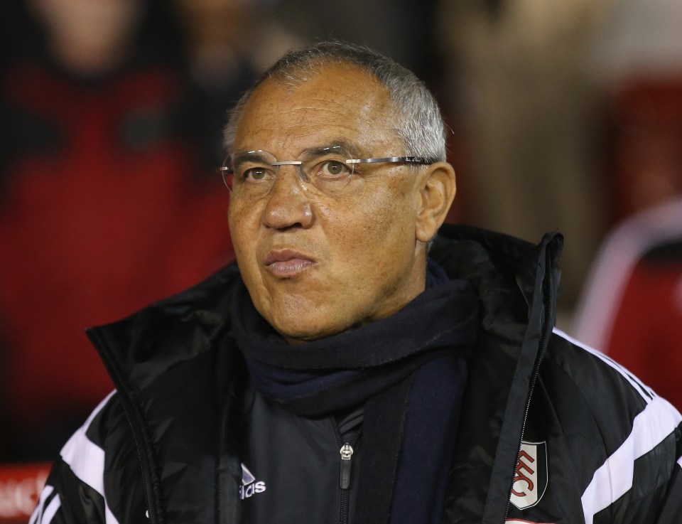 Former Fulham boss Felix Magath has thrown his hat in the ring for the Germany job