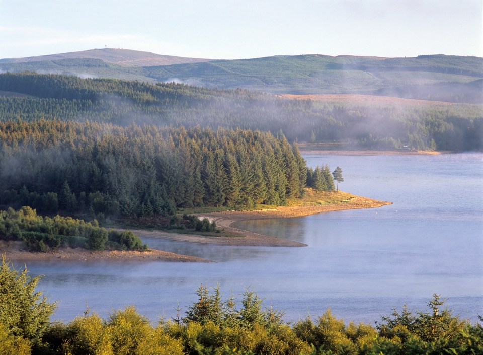 Lake Kielder is right next to the Scottish border