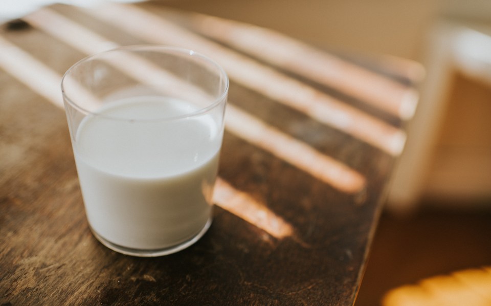 Drinking cow's milk might help bring down your blood sugar levels, research shows