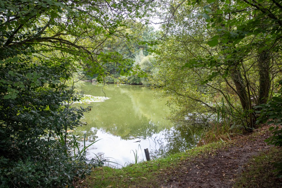 The village is 3 miles north of Bordon, Hampshire