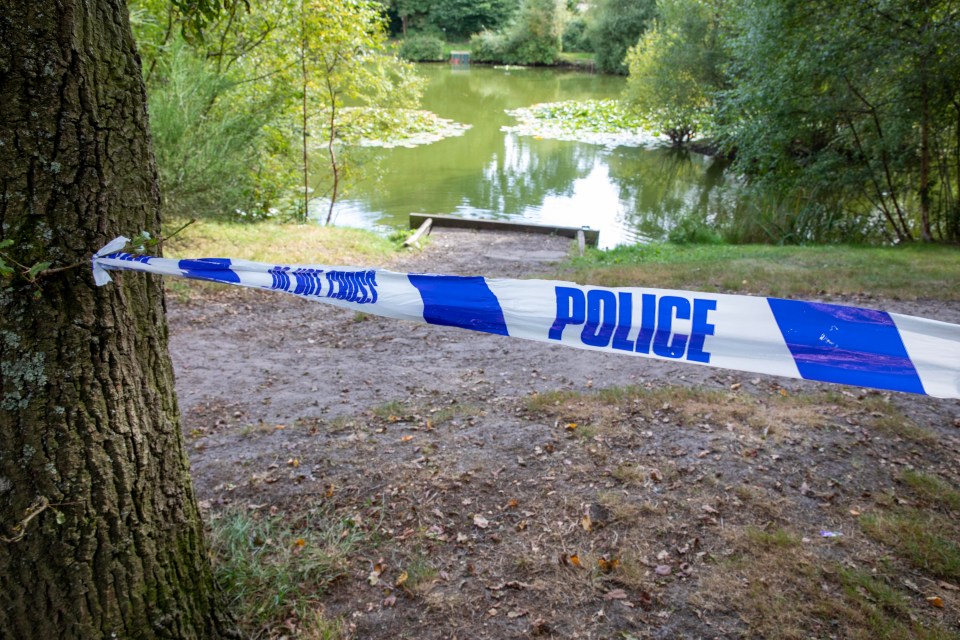 A two-year-old girl has died in hospital after being found in a Hampshire pond