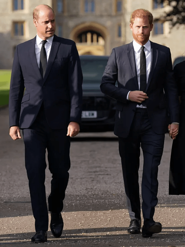 It is claimed that Harry and William meeting is also very unlikely