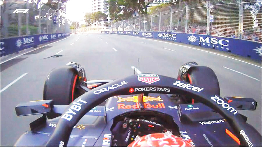 Max Verstappen was forced to swerve to avoid a lizard at the Singapore GP