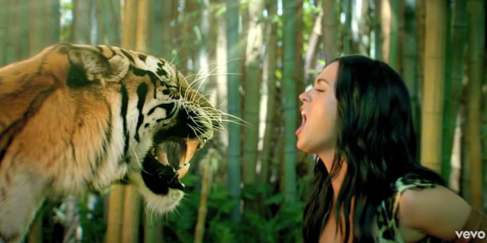 Katy has a hit song named Roar, making her character name of Ms Leopard very fitting indeed