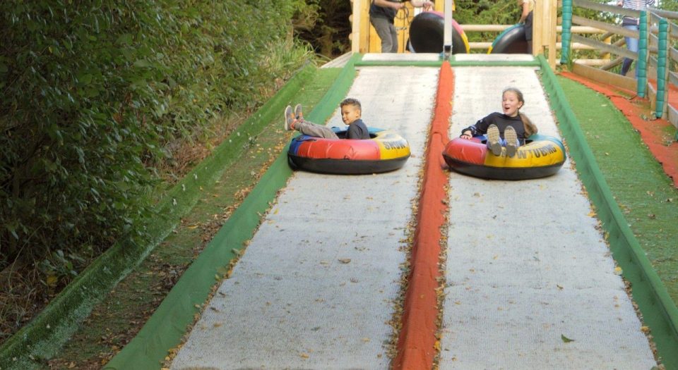 Knockhatch Adventure Park has lots of indoor and outdoor activities to choose from