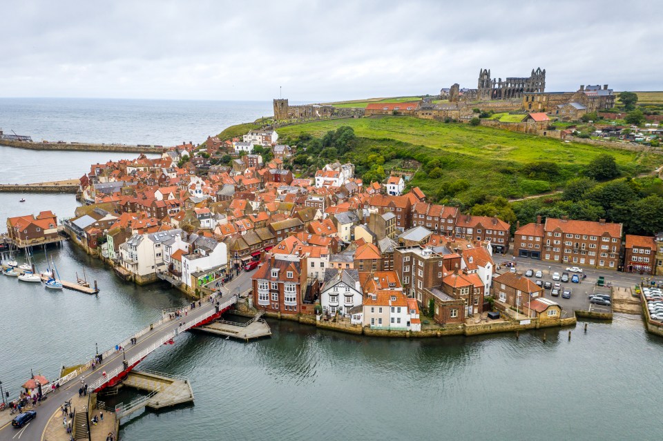 an aerial view of a small town with a castle in the background