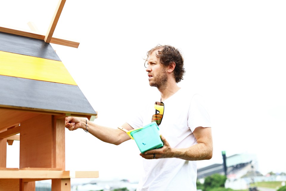 Sebastian Vettel has been building "insect hotels" at Suzuka Circuit