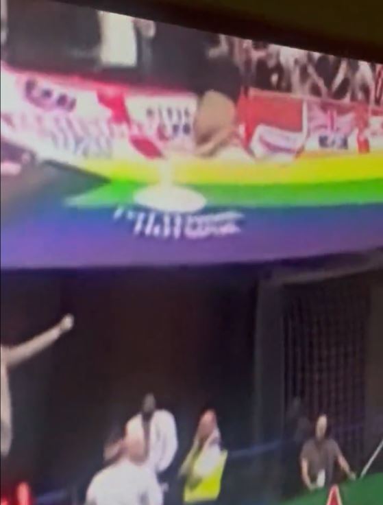 The Sheffield United fan fell during the celebrations of Hamer's opener