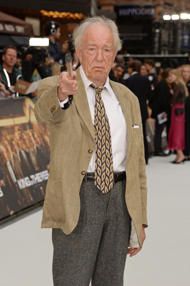 Some fans think the late Sir Michael Gambon was in Lord of the Rings