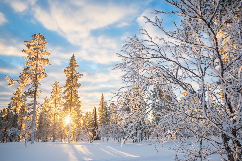 Lapland day trip deals start from £720 for adults and kids and include your flights, meals, husky-sled ride, Santa meet & greets and more