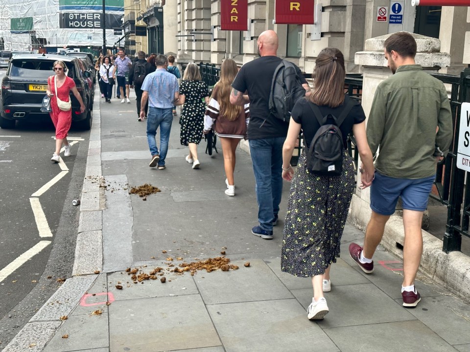 Tourists and residents swerve to avoid the mounds of horse poo in London's West End