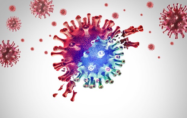 a computer generated image of a virus that looks like a coral reef