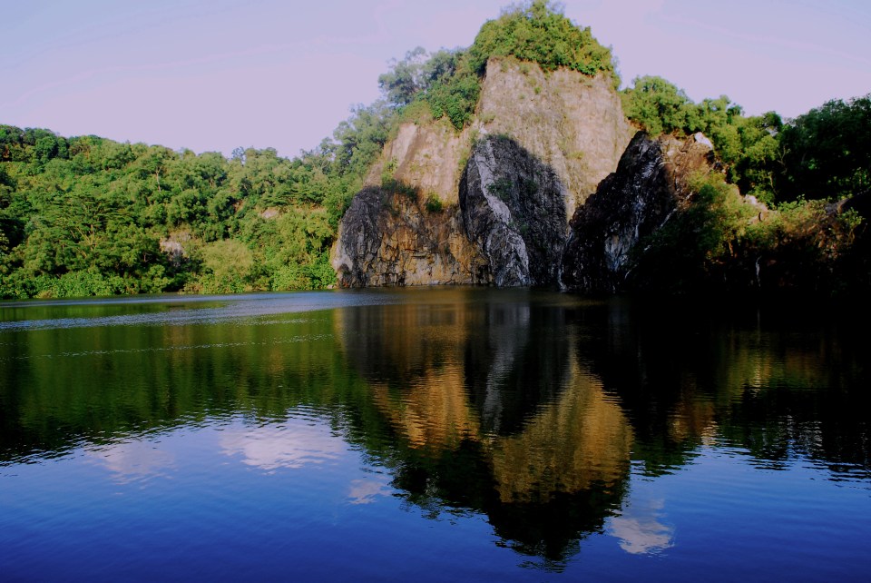 Visit the phenomenal Burkit Timah Nature Reserve