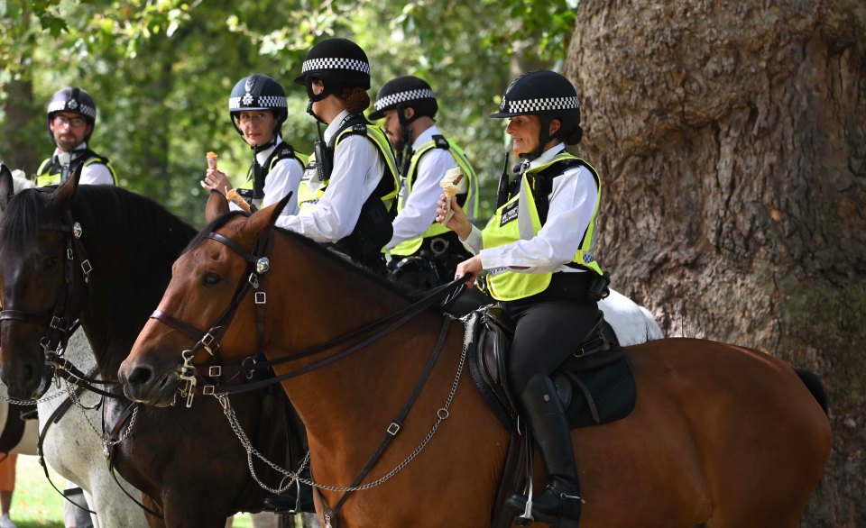 Cops enjoyed an icecream to cool off in St James' Park, London