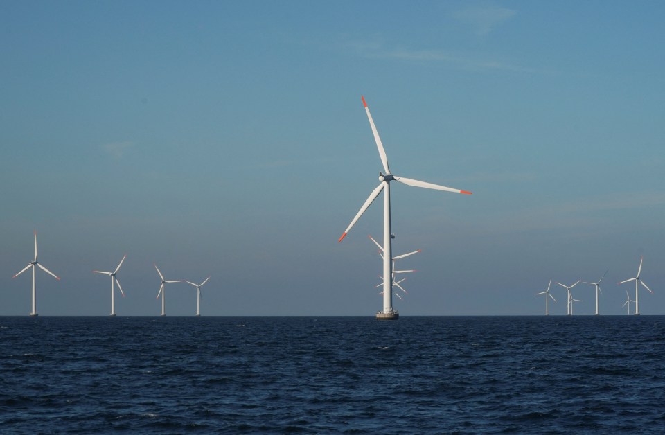 Energy companies declined to bid for an offshore windfarm contract