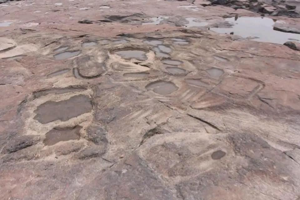 The carvings can be found in Manaus, Brazil where the Rio Negro and Amazon River meet